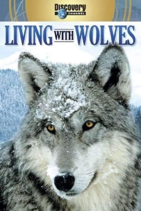 Living with Wolves